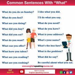 50 Most Common Sentences With What - Grammar