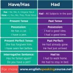 Have Has Had - Basic English Grammar - How to use Have Has Had Correctly Insta